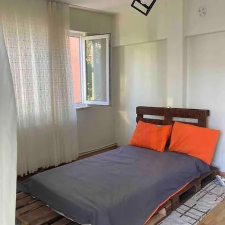 Delightful And Cozy Flat Lejlighed