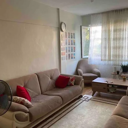 Delightful And Cozy Flat